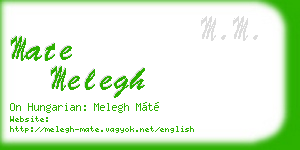 mate melegh business card